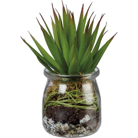 Jar - Aloe Succulent - 2.75" Diameter x 6.50" - Glass, Plastic, Stone