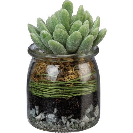 Jade Succulent Jar - Glass, Plastic, Stone
