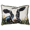 Cow Pillow - Cotton, Zipper