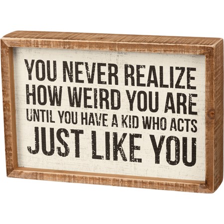 Inset Box Sign - Never Realize How Weird You Are - 9" x 6" x 1.75" - Wood