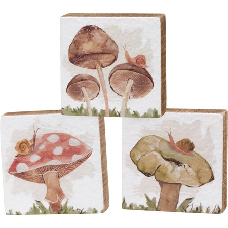 Block Sign Set - Wild Mushrooms - 4" x 4" x 1", Box: 12" x 4" x 1" - Wood, Paper