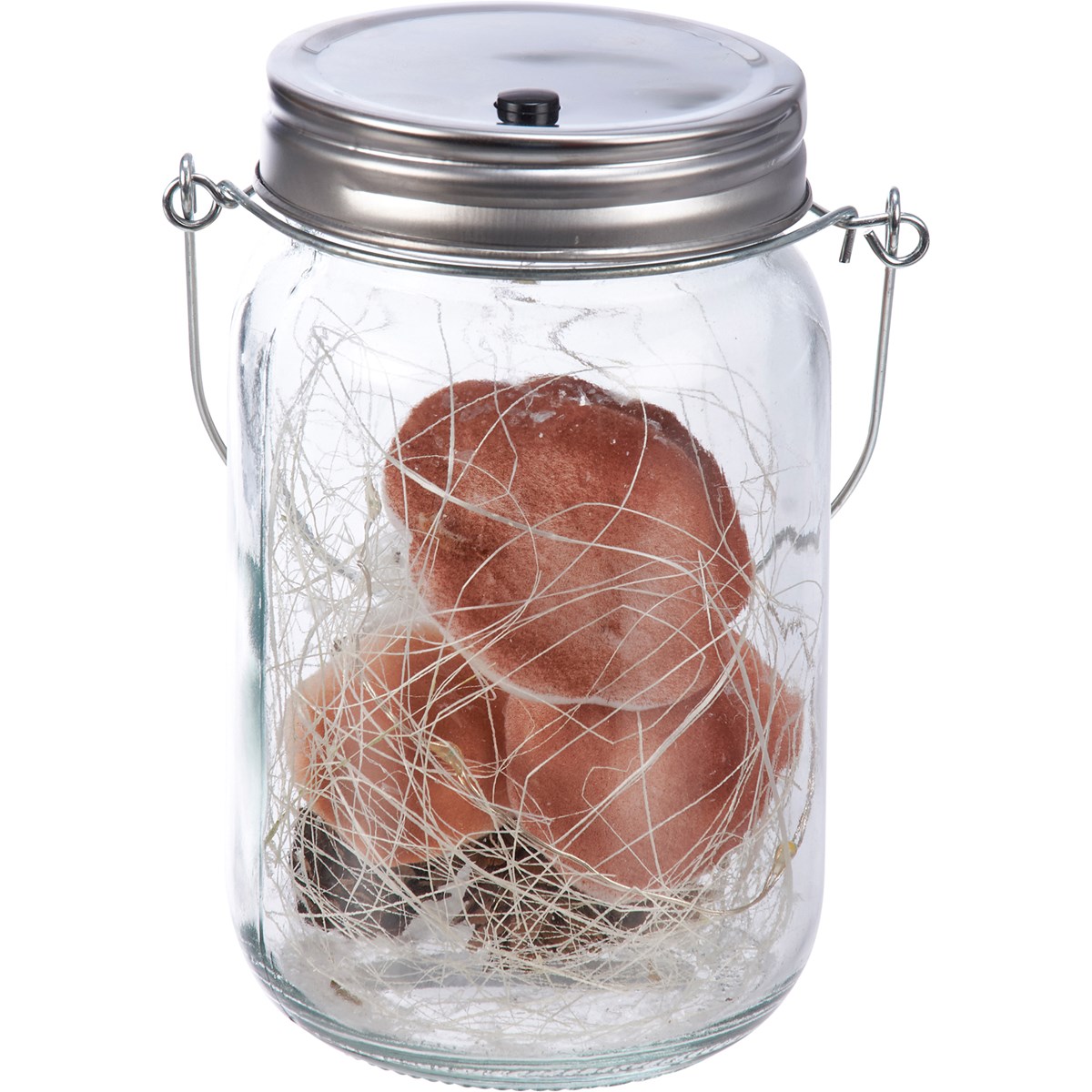 Mushroom Mason Jar Lantern - Glass, Plastic, Lights, Metal, Wire