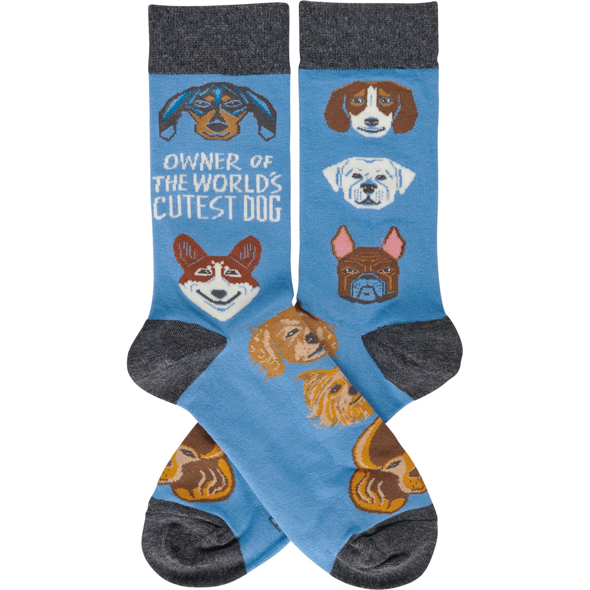 Owner Of World's Cutest Dog Socks - Cotton, Nylon, Spandex