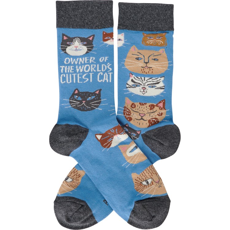 Owner Of World's Cutest Cat Socks - Cotton, Nylon, Spandex