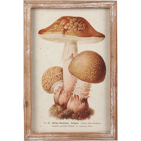 Mushroom Framed Wall Art - Wood, Glass, Paper