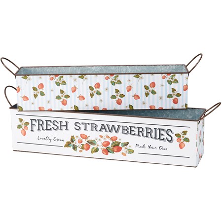 Fresh Strawberries Bin Set - Metal, Paper