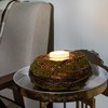 Moss Ball Candle Holder - Wood, Preserved Moss, Glass, Wire