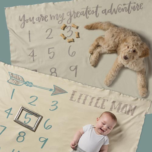 Milestone Blankets Collection by Caitlin Bristow