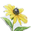 124361_50_.jpg