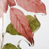 124521_50_.jpg