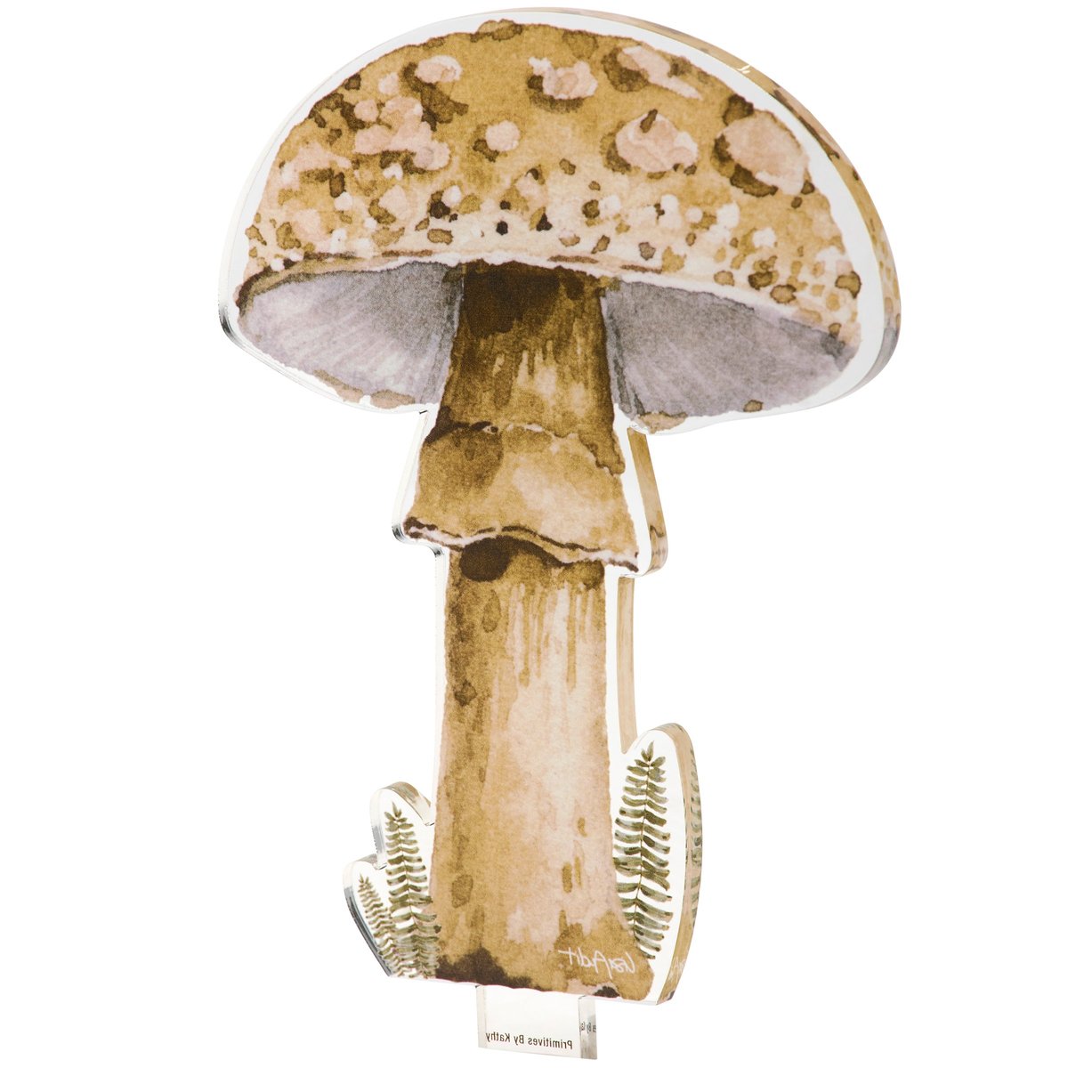 124555_20_.jpg