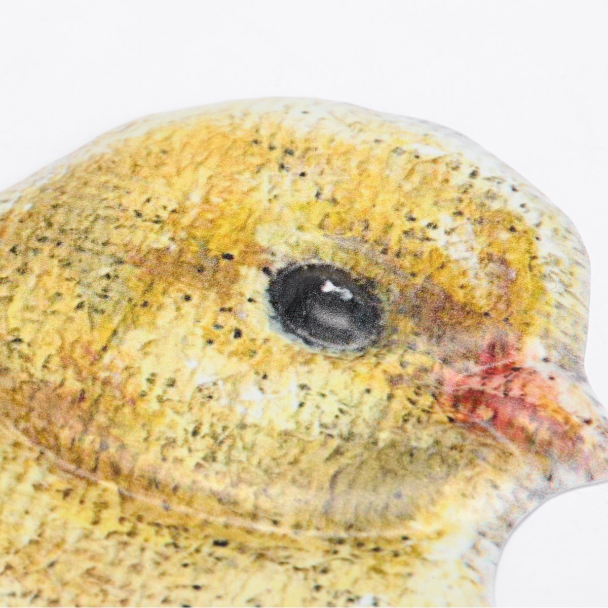 124939_50_.jpg