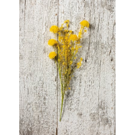 Thistle Mix Yellow Floral Pick - Plastic, Fabric, Wire