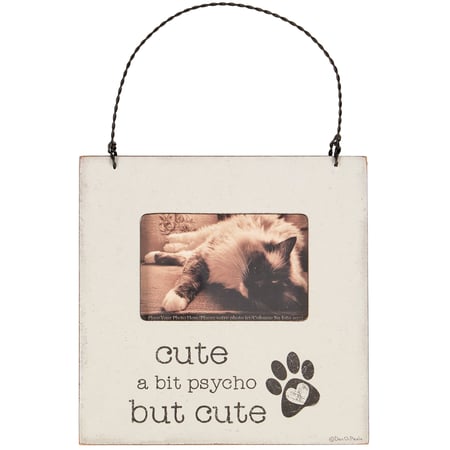 A Bit Psycho Mini Frame - Wood, Paper, Plastic, Wire, Magnet