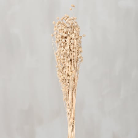 Rosary Pea Bouquet - Natural Foliage