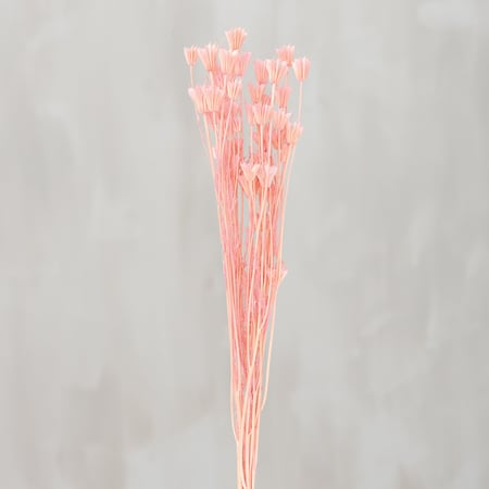 Peach Dogwood Bouquet - Natural Foliage