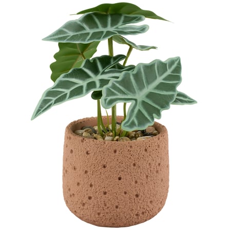 Elephant Ear Planter - Cement, Foam, Plastic, Stone