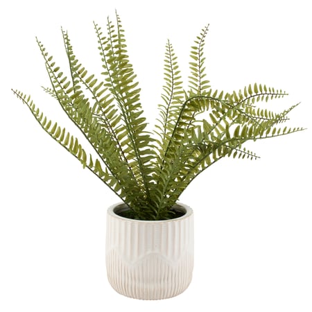 Fern Planter - Cement, Foam, Plastic, Stone