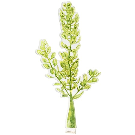 Pennycress Acrylic Stem - Acrylic
