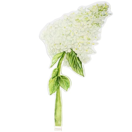Hydrangea Acrylic Stem - Acrylic