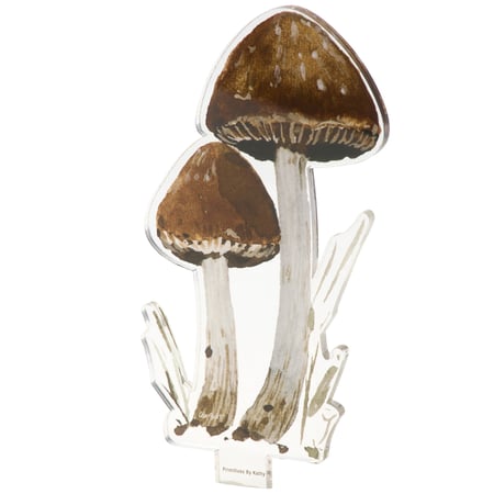 Brown Mushroom Acrylic Stem - Acrylic