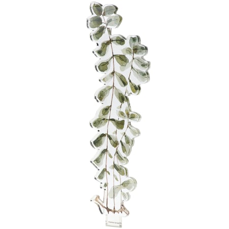 Greenery Acrylic Stem - Acrylic