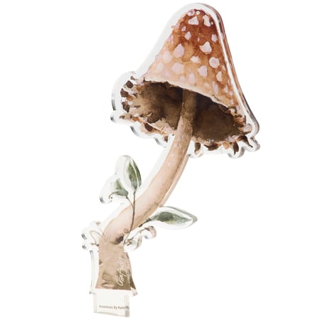 Cone Mushroom Acrylic Stem - Acrylic