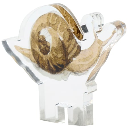 Snail Acrylic Topper - Acrylic