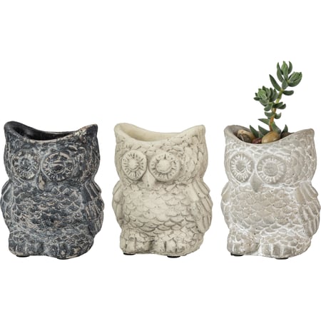 Cement Owl Planter Set - Cement