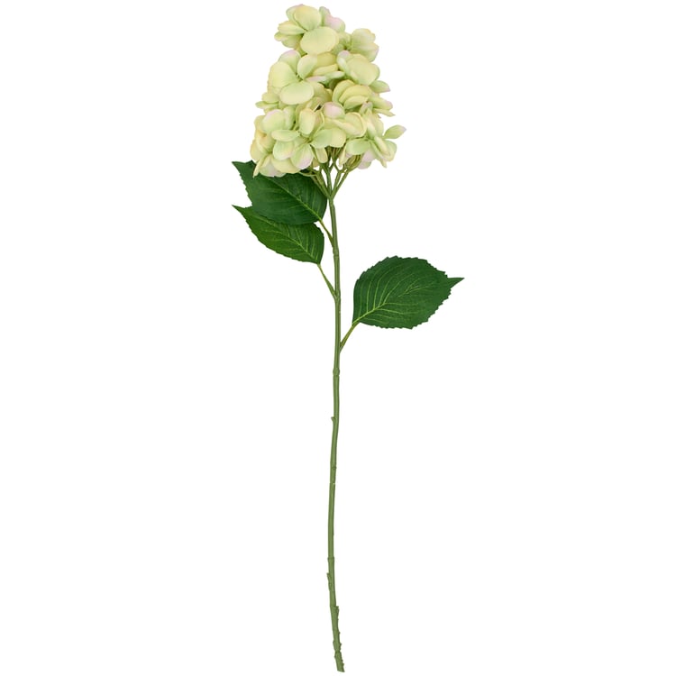 125065_30_.jpg
