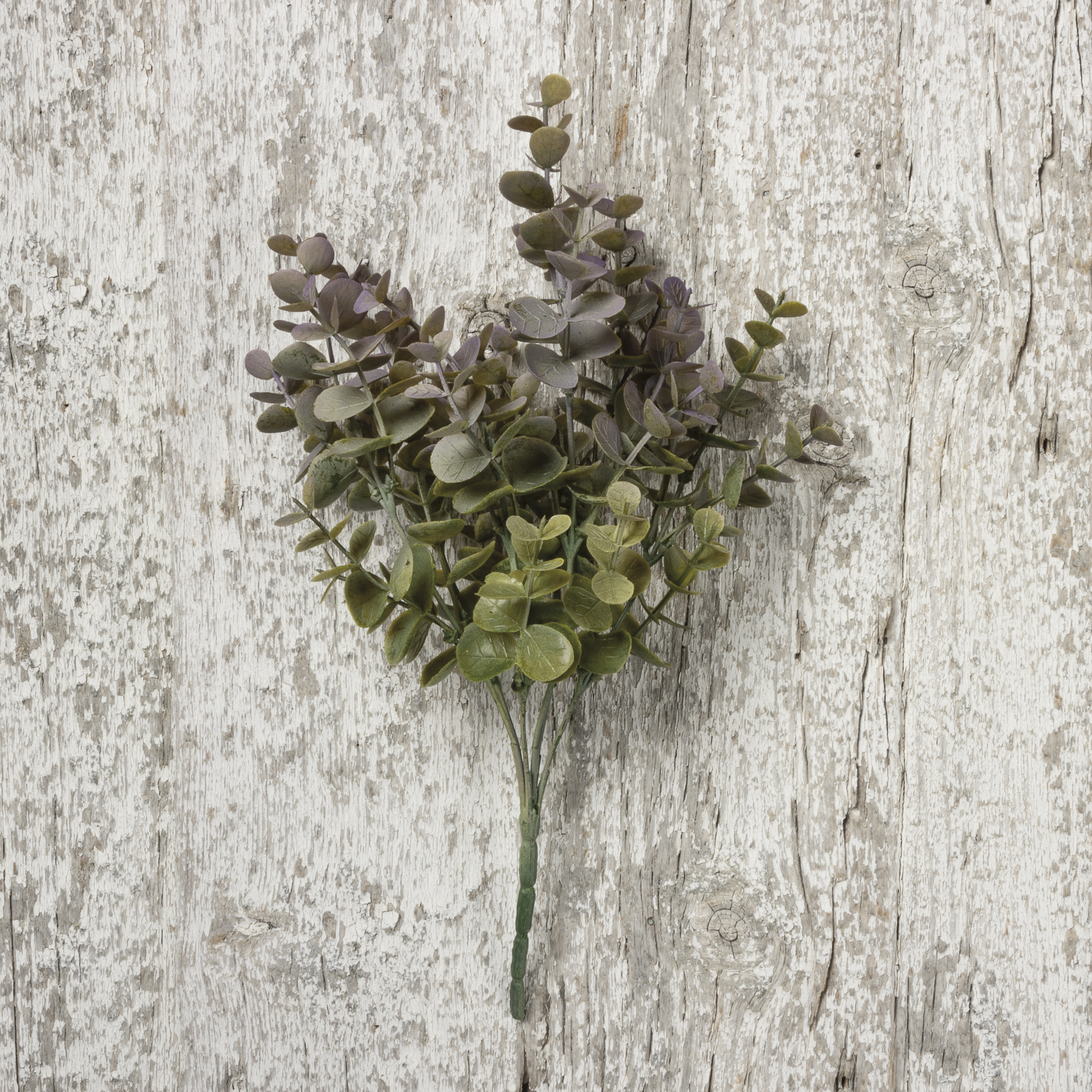 Eucalyptus Gray Pick Primitives By Kathy