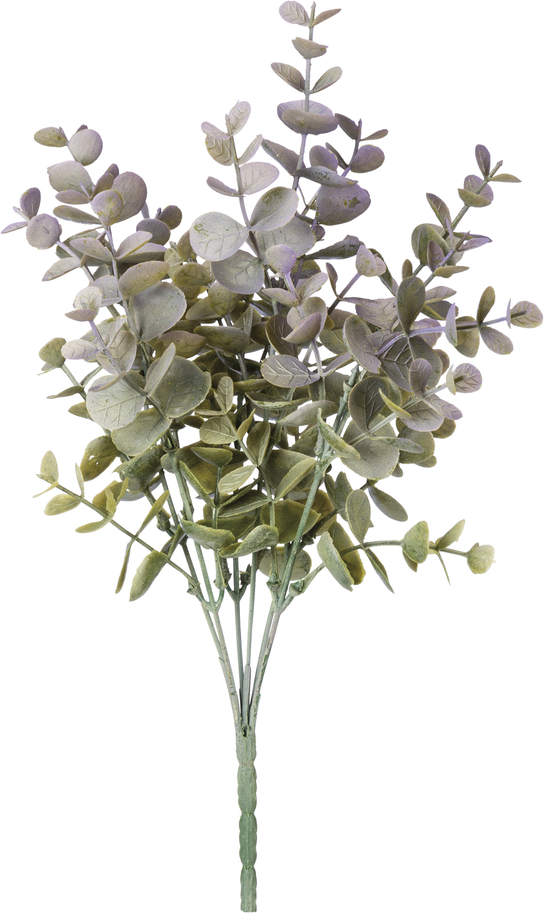 Eucalyptus Gray Pick Primitives By Kathy