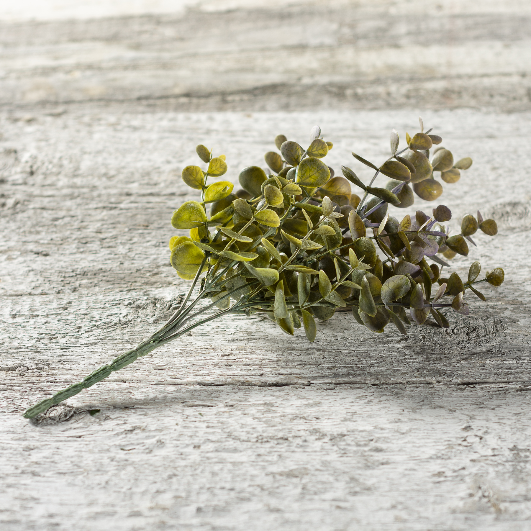 Eucalyptus Gray Pick Primitives By Kathy