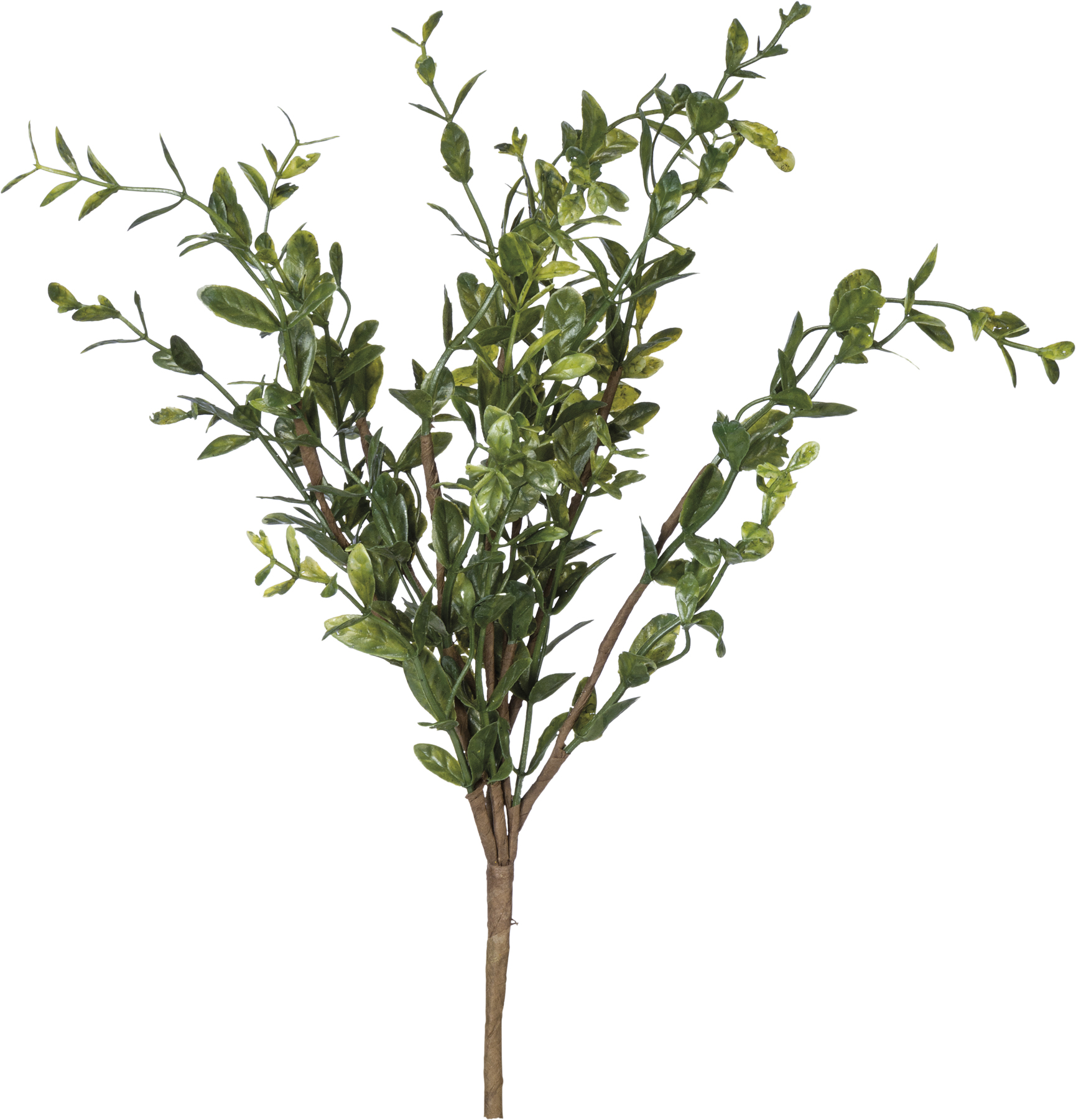 Boxwood Pick Primitives By Kathy