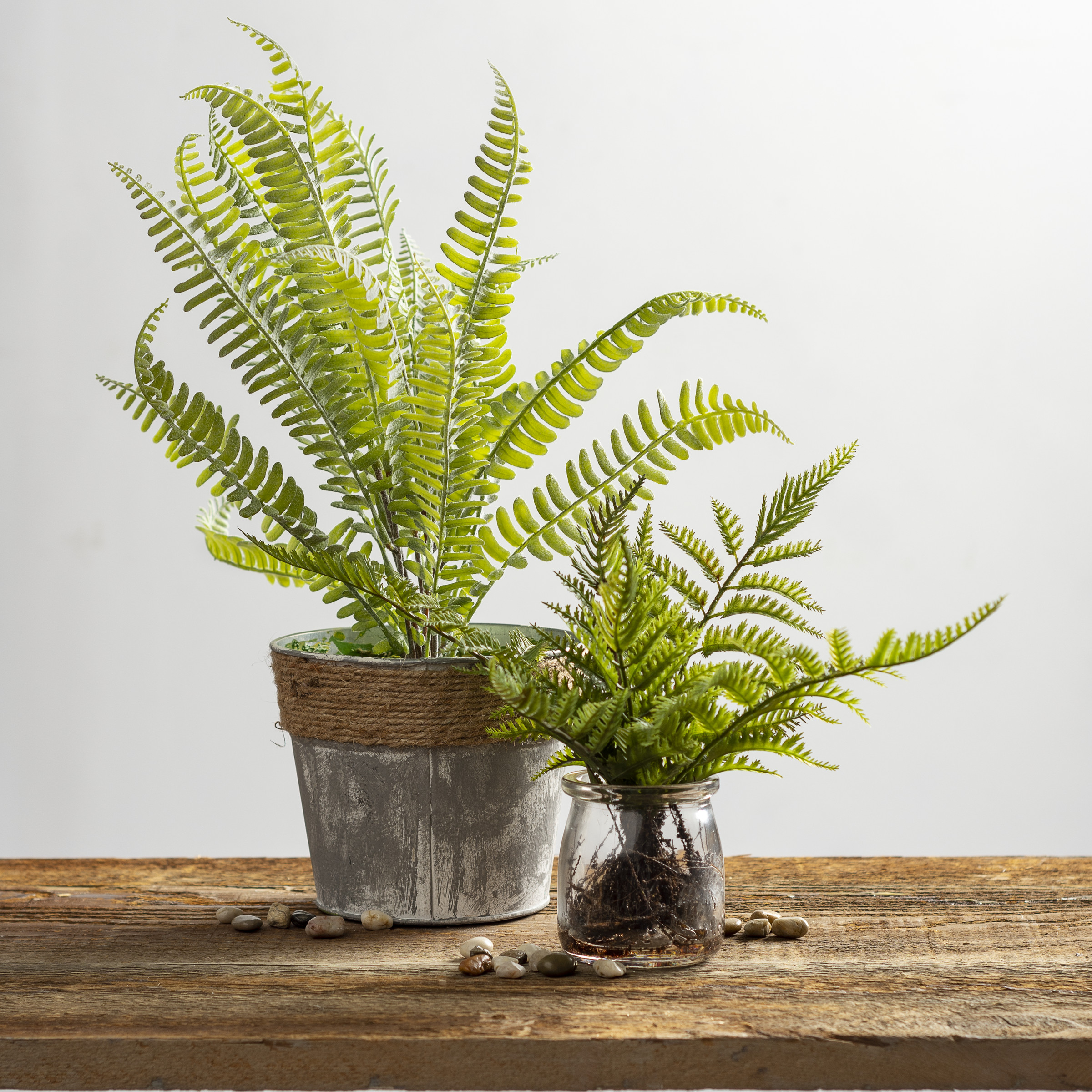 Fern Planter Primitives By Kathy
