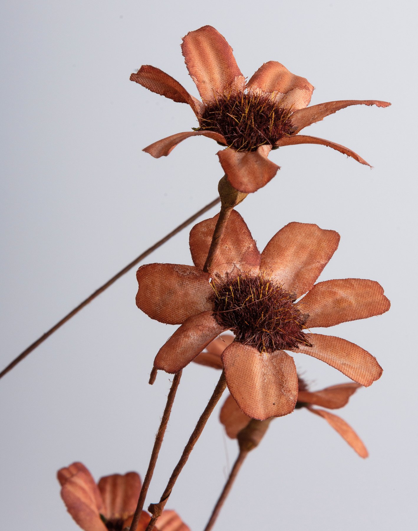 Floral Mix Rust Pick Primitives By Kathy