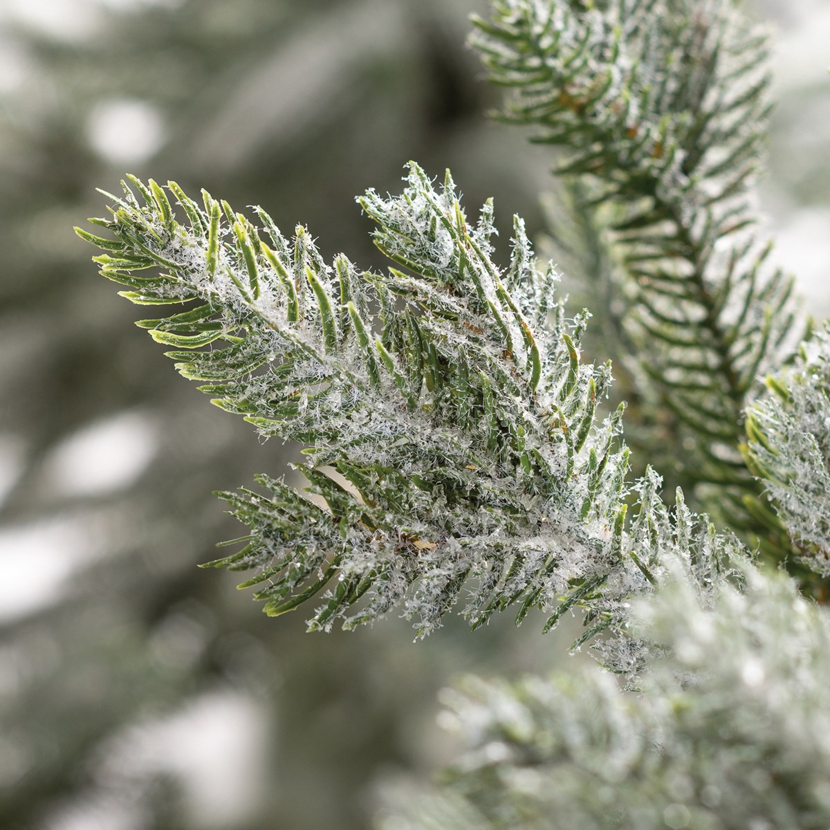 Snow 72" Tree - Plastic, Wire, Burlap, Flocking