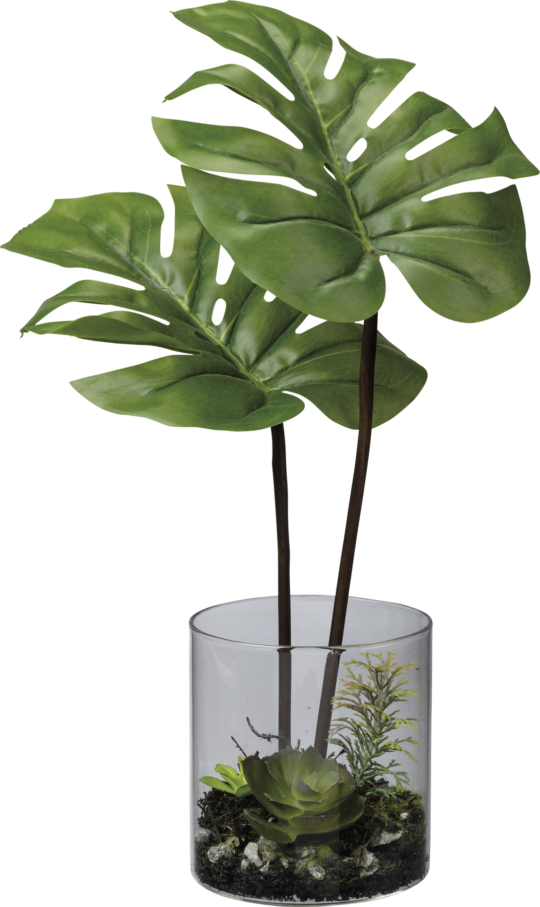 Vase Monstera Botanical Collection Primitives By Kathy