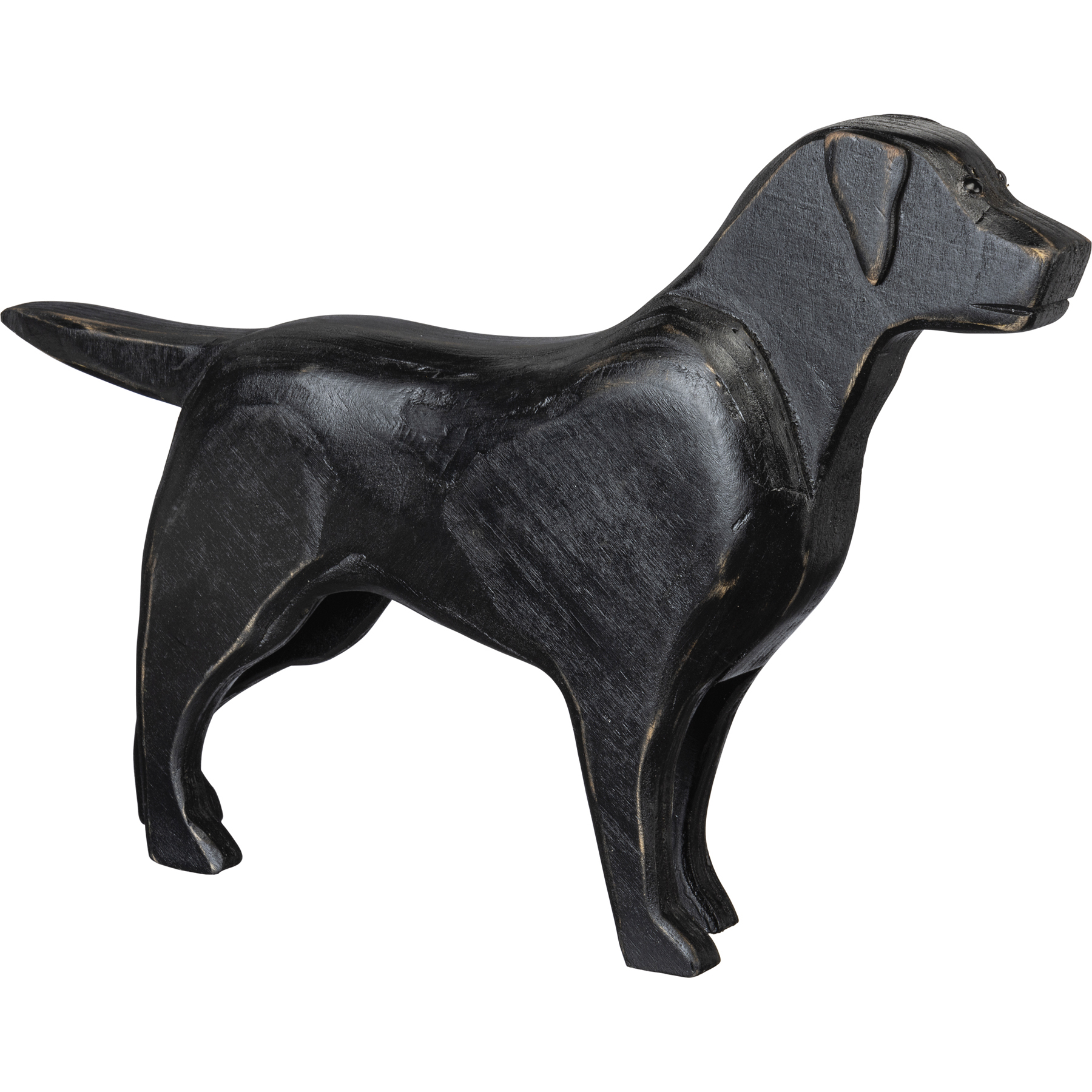 chunky black labrador