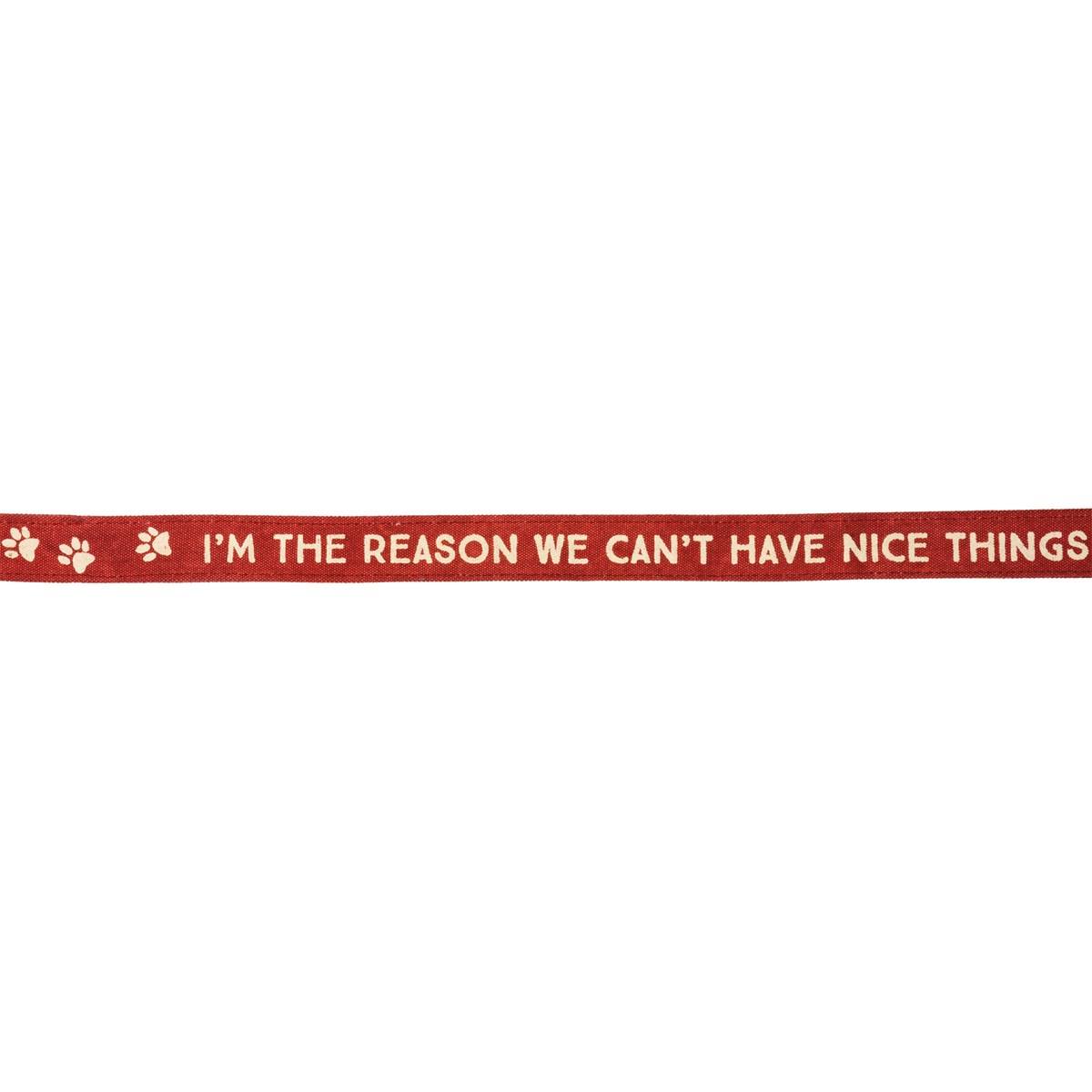 Dog Leash - The Reason We Can't Have Nice Things - 72" x 1.50" - Canvas, Metal