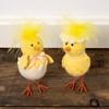 Fancy Chicks Critter Set - Felt, Feathers, Wire, Plastic, Ribbon