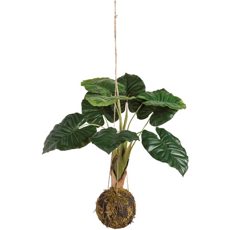 Hanging Plant - Lg Monstera - 35" Tall, Ball: 8.50" Diameter - Plastic, Natural Foliage, Jute
