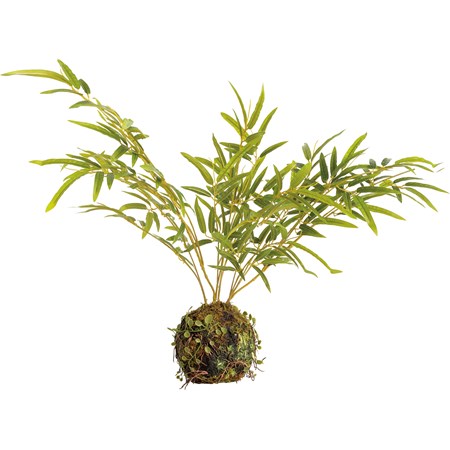 Kokedama - Palm - 20" Tall, Ball: 5" Diameter - Plastic, Natural Foliage