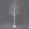 White Birch Medium Tree - Plastic, Cord, Lights