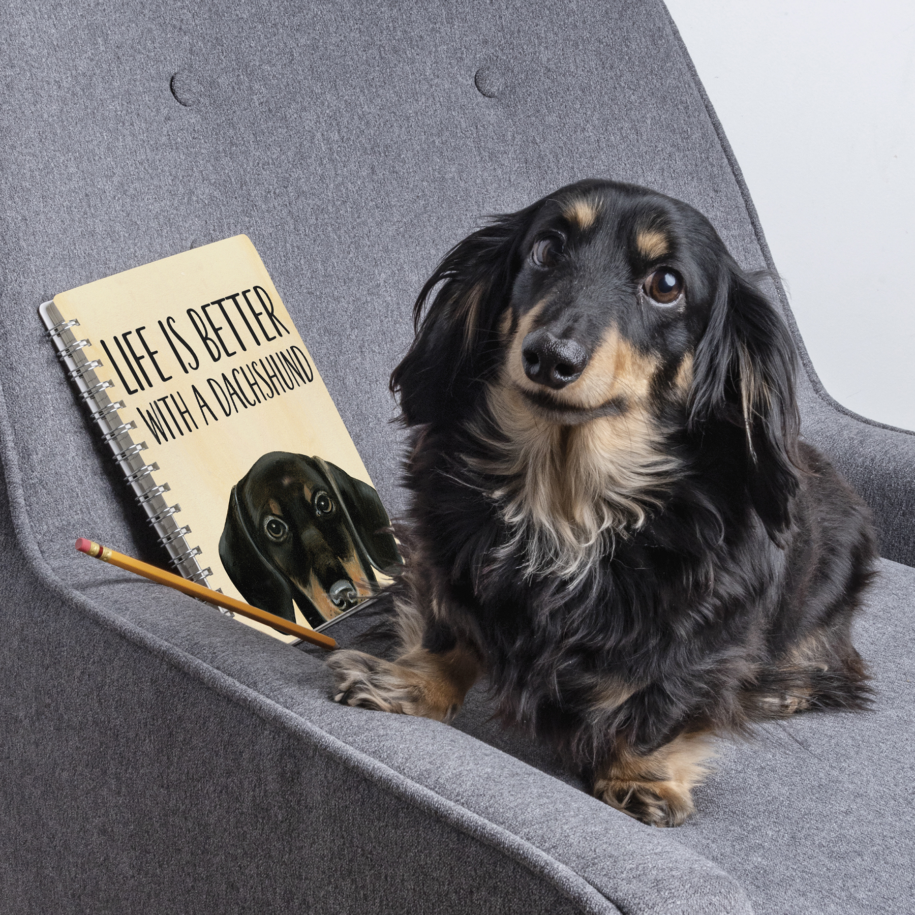 Spiral Notebook - Dachshund - Pet Collection | Primitives By Kathy