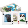 Pets Playing Cards - Paper, Acrylic