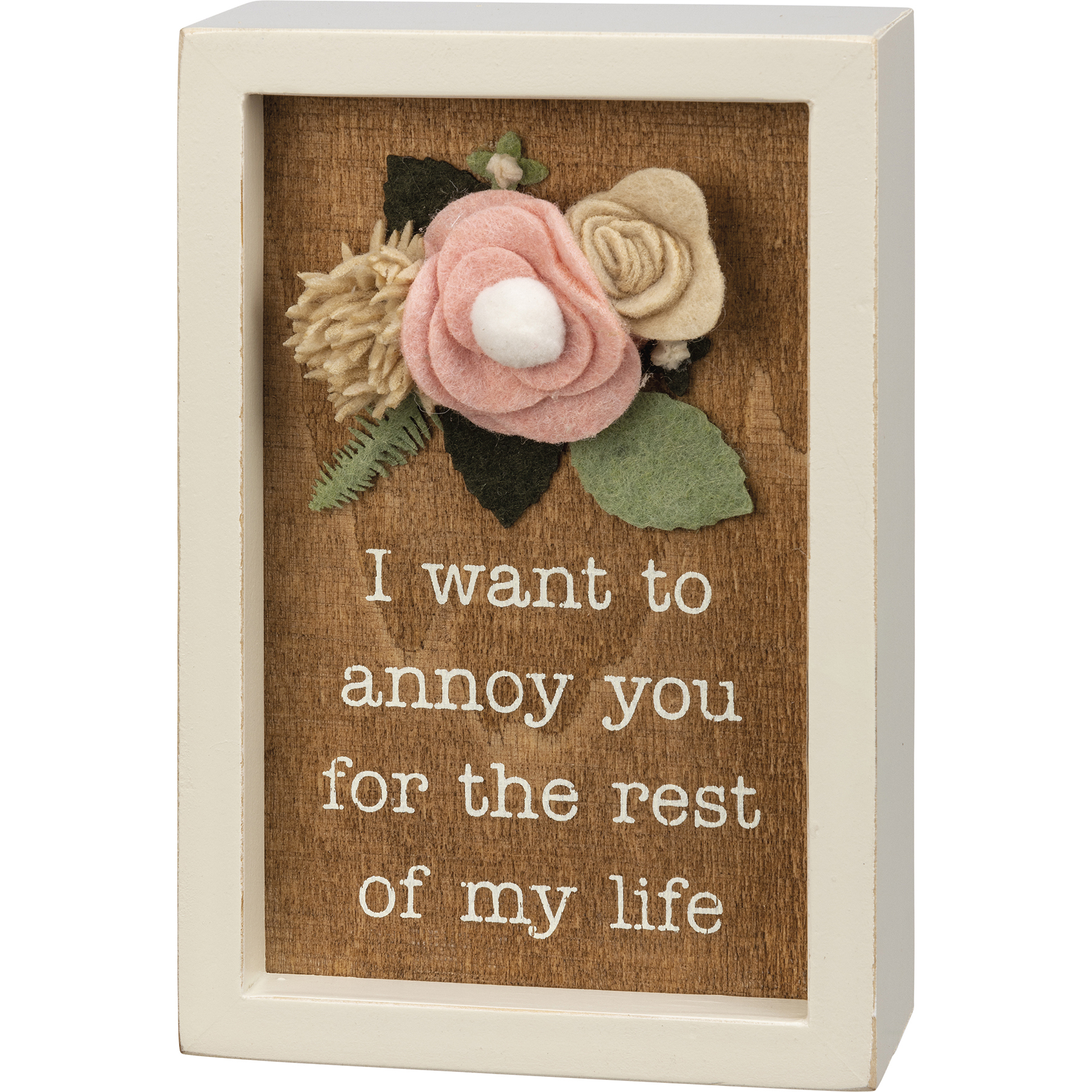 I Want To Annoy You Inset Box Sign | Primitives By Kathy