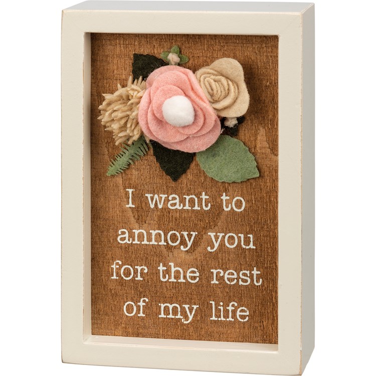 I Want To Annoy You Inset Box Sign - Wood, Felt