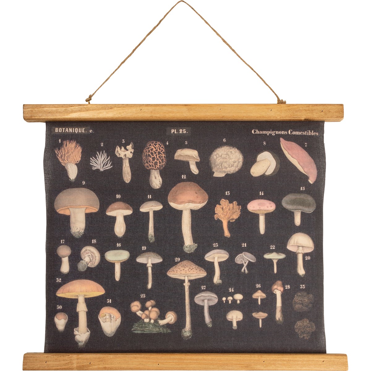 Wall Decor - Mushrooms - 19.25" x 15.75" x 0.75" - Canvas, Wood, Jute