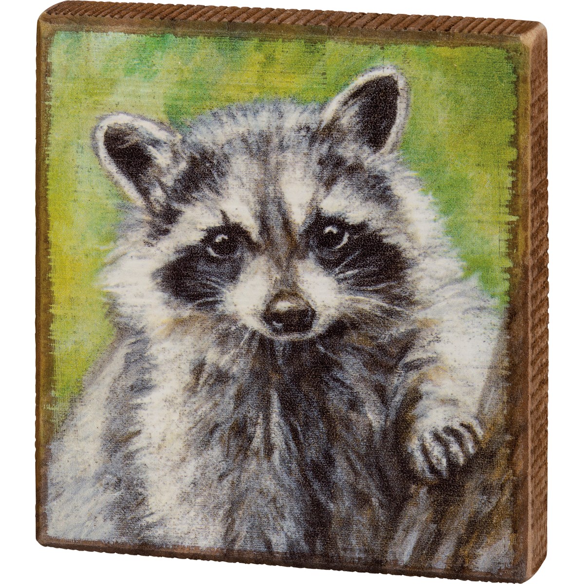 Raccoon Block Sign - Wood